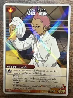 イナズマイレブンGO TCG 染岡竜吾 カード - メルカリ