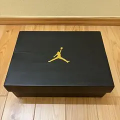 Air Jordan 1 Mid ブラック/ジムレッド 27cm