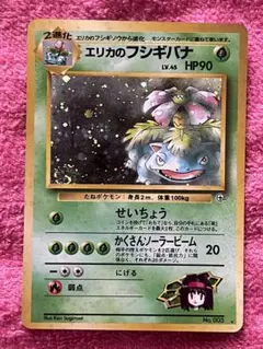 エリカのフシギバナ　旧裏　うずまきホロ