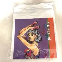 エビスビール　荒木飛呂彦　Tシャツ　バードウォッチング　Sサイズ