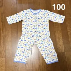 Item thumbnail for item 48276bd1-9d08-46c8-9f67-f10b7ee9ed6e