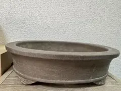 2025年最新】佳山 鉢の人気アイテム - メルカリ