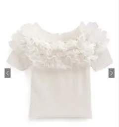 GRL チュールフリルテレコトップス[tw1144]