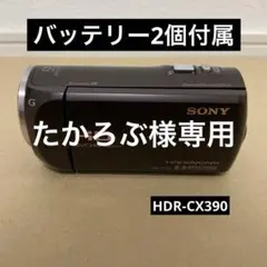 2025年最新】HDR-CX390の人気アイテム - メルカリ