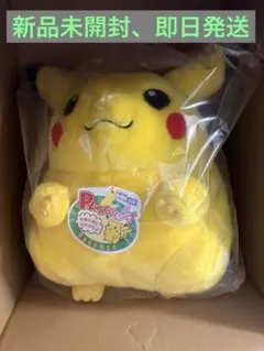 ポケットモンスター ポケモン30周年記念 おかえり!ピカチュウ1/1
