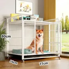 Item thumbnail for item c67bcb62-a67f-41a9-88eb-ccd5a3e57776