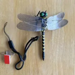 Item thumbnail for item 77197cdc-fe67-47aa-acbb-200afa043ef2