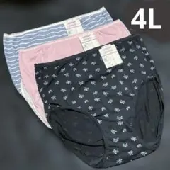 【4Lサイズ】レディースショーツ 3枚セット 9