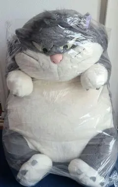 Item thumbnail for item e17c06cc-5a28-46ed-a38a-9e20fa1bd05f