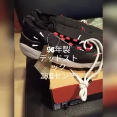NIKE　フットスケープ　96年製 シカゴカラー 28.5センチ