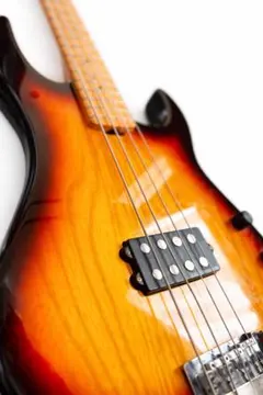2026年最新】ESP ベースの人気アイテム - メルカリ