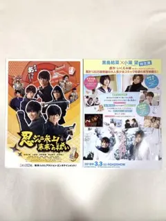 Item thumbnail for item 95cb382b-c4ef-4f1a-bcd9-8416ae20fb02