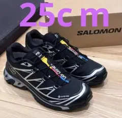 2025年最新】salomon xt-6 gore-texの人気アイテム - メルカリ