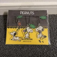 スヌーピーガーデン 限定 アクリルキーリング