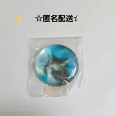 わちふぃーるど　ダヤン　原画展限定✨　箸置き✨ガラス製　「映りこみ鍵」　レア値下のサムネイル