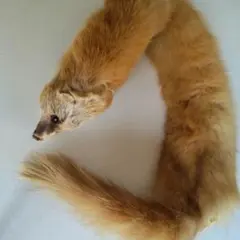 Item thumbnail for item 381665bf-4726-4c5f-b40a-930d2c40f197