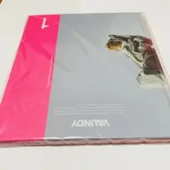 Vaundy VAWS premium photo book #01 バウンディ