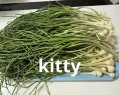 ノビル 野蒜 のびる 山菜 旬の野菜 1kg上 - メルカリ