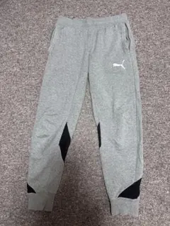 PUMA スウェット グレーL