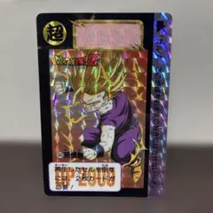 カードダス本弾 No.603 孫悟飯