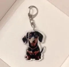 ミニチュアダックスフンド ダックス アクリルキーホルダー 犬 ドッグ わんこ