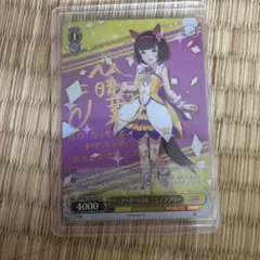 2026年最新】ヴァイスシュヴァルツの人気アイテム - メルカリ
