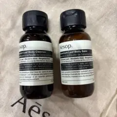 Item thumbnail for item 7a69bc63-4701-4afe-85c9-55e310def61d