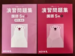 四谷大塚 予習シリーズ 演習問題集 国語 5年上 &解答解説