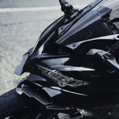 シグナス5型 外装 龍塗装 フェイス - メルカリ