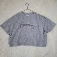 SEVENDAYS=SUNDAY グレー クロップドTシャツのサムネイル