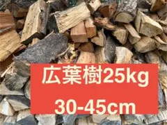 Item thumbnail for item 2987ee6e-dc48-463c-8772-3a8ea8e7d9fd