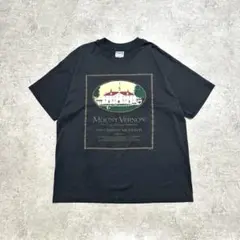90s USA製 MOUNT VERNON プリントTシャツ アートTシャツのサムネイル