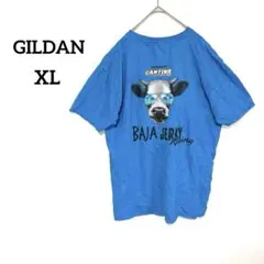 ギルダン メンズ Tシャツ XL 褒められブルーUS古着コットン100わんちゃん