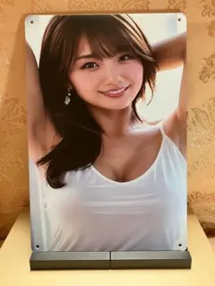 女性水着スタイル ブリキ・プレート 送料込