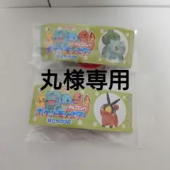 丸様専用　ポケモンチョコエッグ　2種セット