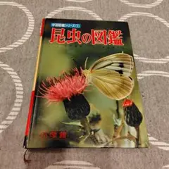 昆虫の図鑑 小学館