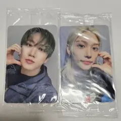 Item thumbnail for item e3d8d847-13af-4305-917c-03c40d0b6977