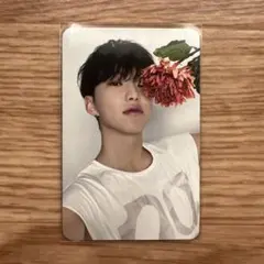 セブチ 17 IS RIGHT HERE DEAR盤 ホシ トレカ