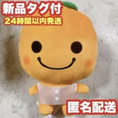 2025年最新】みかんぼうやぬいぐるみの人気アイテム - メルカリ