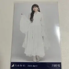 Item thumbnail for item 05d63285-b11b-4e4a-ad25-5c25e8ec0881