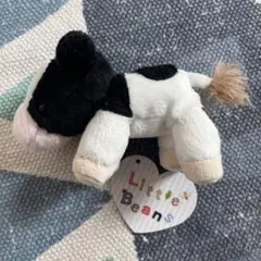 Little beans 仔牛