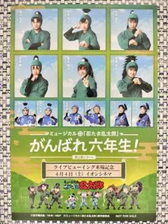 ミュージカル 忍たま乱太郎 がんばれ六年生！特典 フォトブロマイド