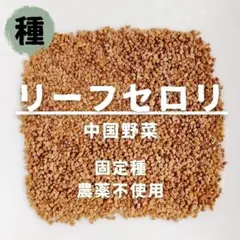 蒼日様 リクエスト 2点 まとめ商品