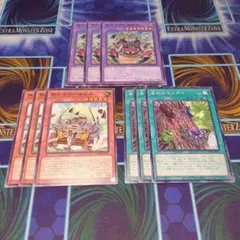 ◆遊戯王　無死虫団　むしムシだん　デッキパーツ３枚セット②