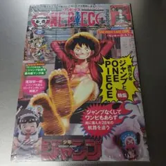 ワンピース　マガジン　20号 ルフィ プロモカード付 　1冊