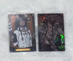 ツイステ レオナ カード ハロウィン 実験着 スケアリードレス