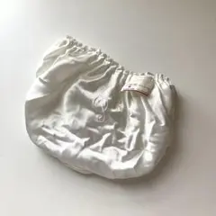 スキャンティ　レトロ