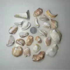 Item thumbnail for item 3507d94c-a2cb-4a5c-9029-16e4894d47cc