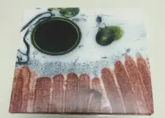 Plastic Tree　cell.　 CD