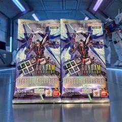 テープ付き】ガンダム GD05 Freedom Ascension 2BOX - メルカリ